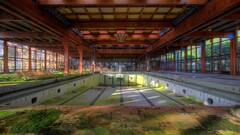 abandoned swimming pool indoors moss