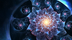 abstract fractal flowers fractal