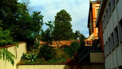 Albi House urban Trees