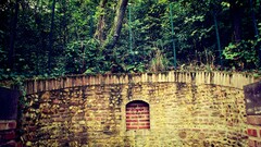 Albi Trees fence wall