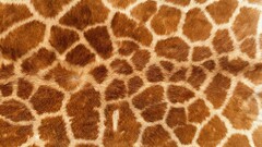 animal print Giraffes fur brown