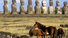 Animals horse statue Easter Island chile World Heritage Site