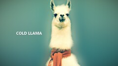 Animals lama llamas abstract nature