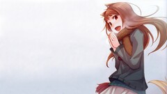 Anime anime girls cold Holo (Spice and Wolf) spice and wolf