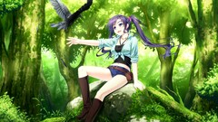 Anime anime girls jean shorts crow deep forest