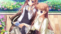 Anime anime girls walkure romanze noel marres ascot