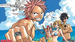 Anime fairy tail Dragneel Natsu Heartfilia Lucy Scarlet Erza