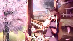 anime girls inumimi animal ears cherry blossom
