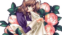 anime girls Moonlight Lady Anime