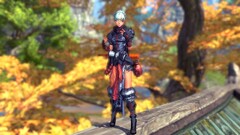B&S video games Women Blade & Soul mmorpg video game girls