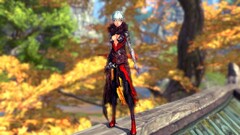 B&S video games Women Blade & Soul