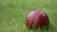 balls cricket grass