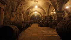 barrels wine cellars germany