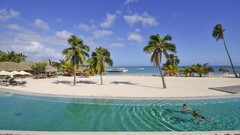 beach palm trees Hotel swimming pool