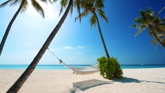 beach sand palm trees landscape hammocks Sea sky