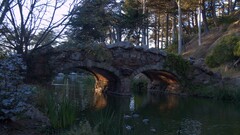 Bridge river nature golden gate park San Francisco