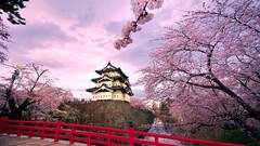 building cherry blossom Hirosaki Castle Japan temple