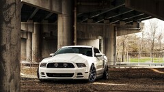 Car Ford Carol Shelby GT500 white cars