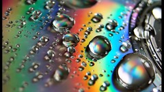closeup discs water drops