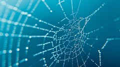 closeup spiderwebs water drops blue dew macro