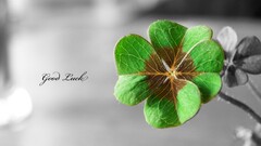 Clovers selective coloring leaves Plants Typography