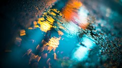 colorful photography water reflection puddle bokeh pavements wet