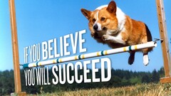 corgi Pembroke Welsh Corgis dog jumping motivational Animals