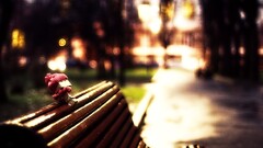 danbo carton box bench