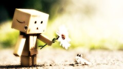 danbo carton box Flowers