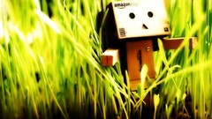 danbo carton box grass
