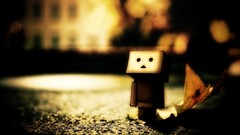 danbo carton box leaves