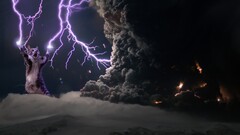 dark humor digital art Animals chile cats volcanic eruption