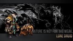 Dota 2 lone druid video games PC gaming video game art