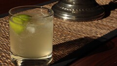 drink cocktails drinking glass lemons indoors