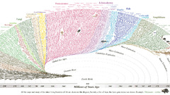Evolution diagrams Science biology charts infographics Earth