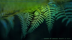 Ferns fuckscape Plants