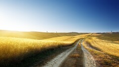 field landscape dirt road sky Plants clear sky sunlight bright