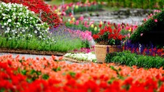 Flowers Garden colorful depth of field baskets red flowers