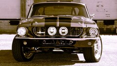 Ford mustang Shelby Car vehicle Ford Racing Stripes