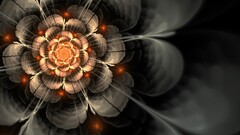 fractal flowers abstract fractal
