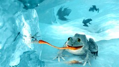 frog digital art Animals mosquito ice cyan bright tongues