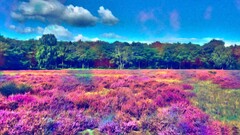 glitch art LSD colorful grass Trees landscape digital art