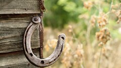 horseshoes metal Wood