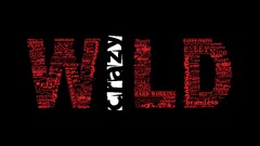 humor quote Simple Background black Typography simple