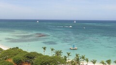 Island water Aruba palm trees coast beach Sea