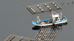 Japan earthquakes Asia