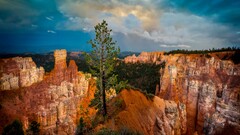 landscape bryce canyon national park Utah