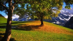 landscape fall Mountains nature hills snowy mountain sunlight