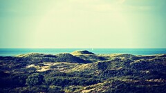 landscape filter sunlight coast Sea hills clear sky shrubs
