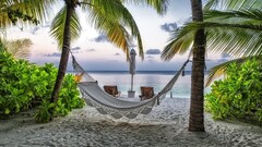 landscape hammocks palm trees tropical Sea beach